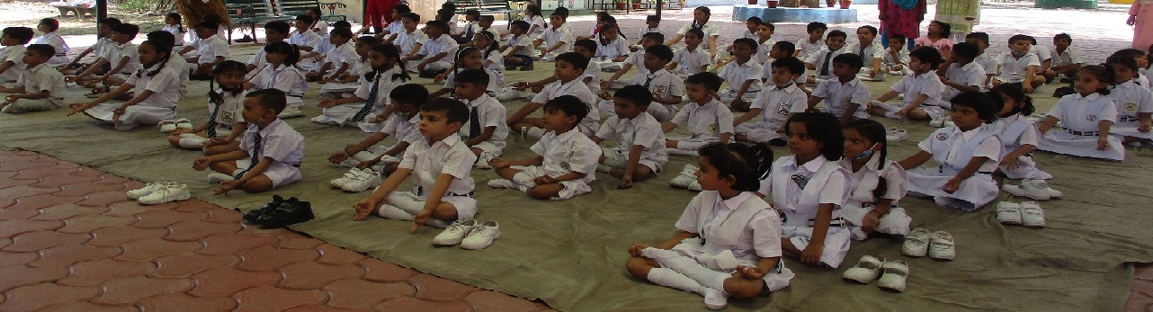 Yoga Activity